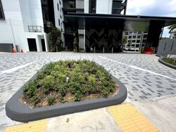 Mayfair Gardens (D21), Condominium #393799901